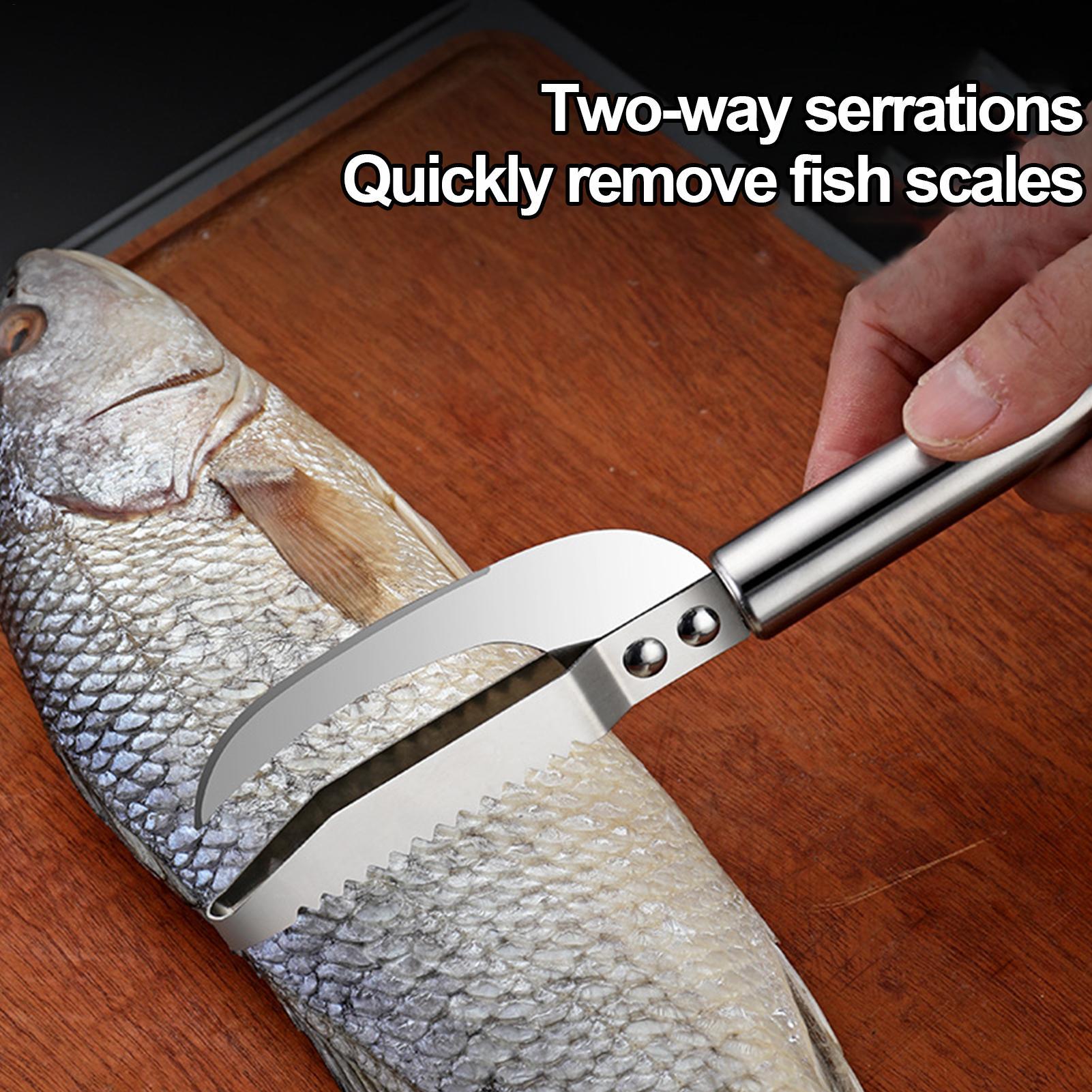 Fish Scale Remover Knife Picki - Kitchen Gadget Amazon recension och pris