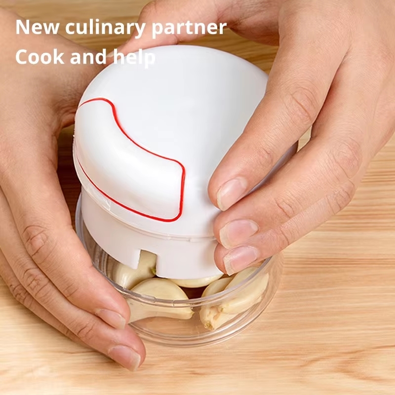 1PC Mini Garlic Crusher Press  - Kitchen Gadgets Vegetable Cutter recension och pris