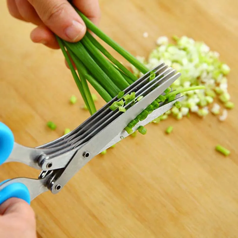 5 Layers Blade Scallion Scisso - Herb Scissors 5 Blade recension och pris