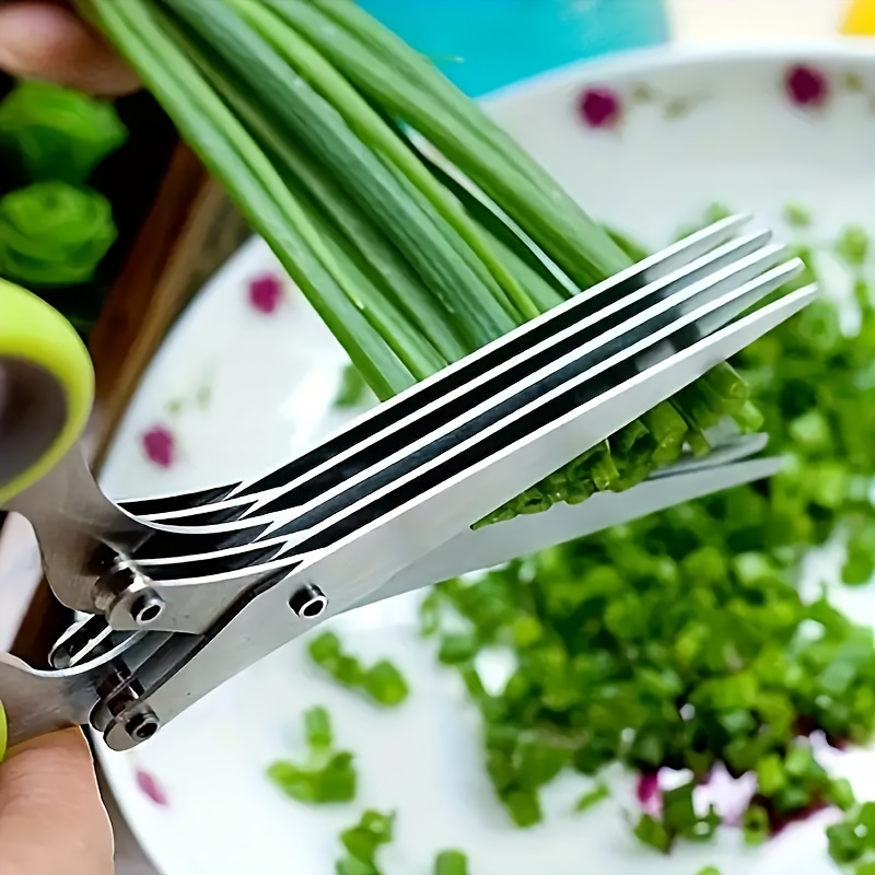 Multi-blade Stainless Steel He - Herb Scissors 5 Blade recension och pris